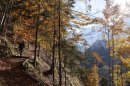 Sentier et Bionnassay
